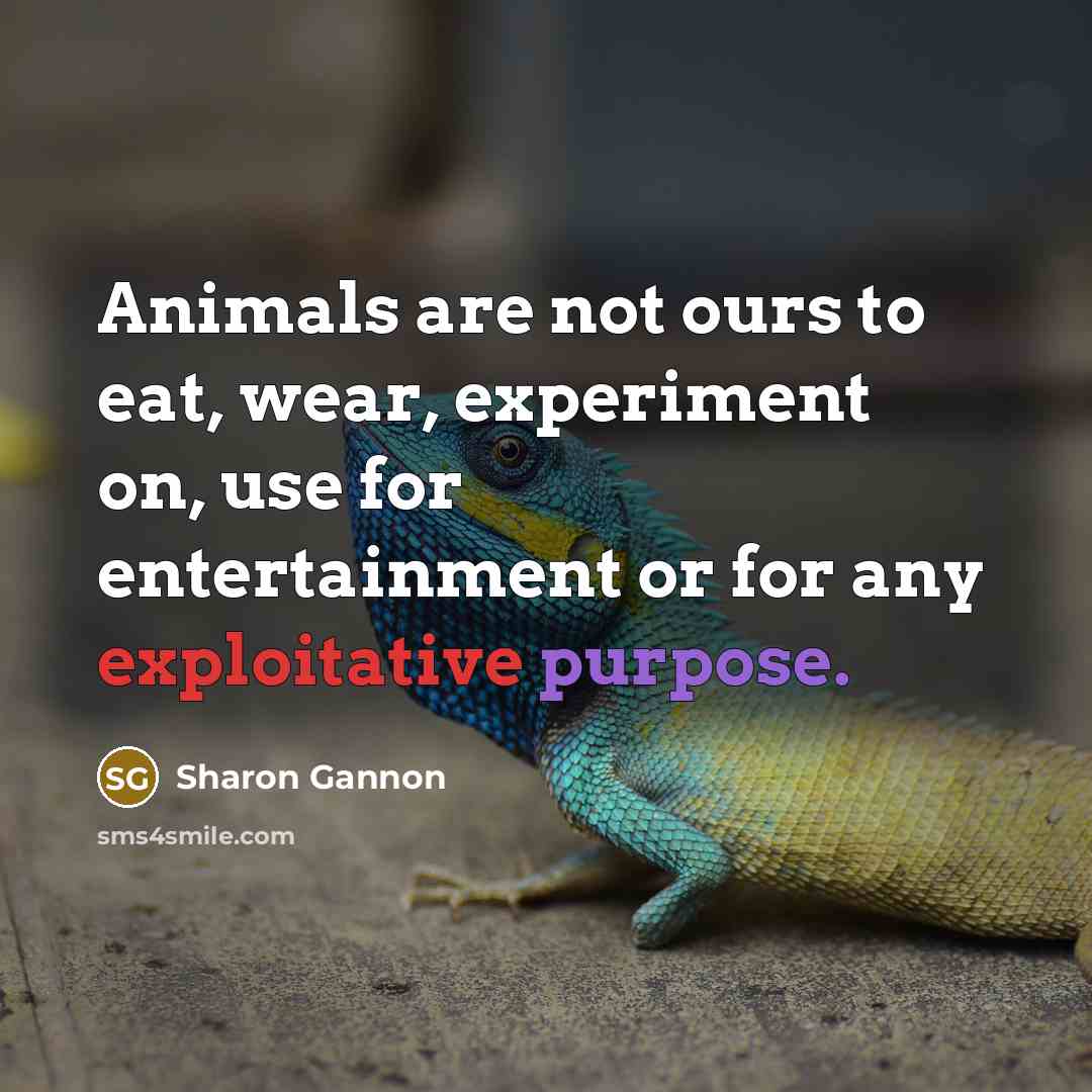“Animals are not ours to eat, wear, experiment on, use…” quote by Sharon Gannon