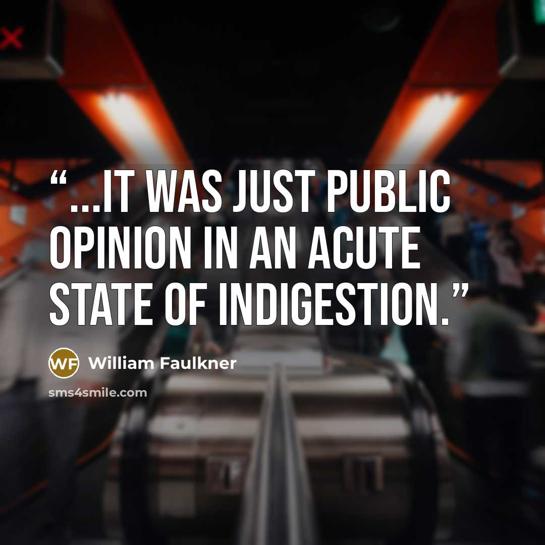 “...it was just public opinion in an acute state of indigestion.” quote by William Faulkner