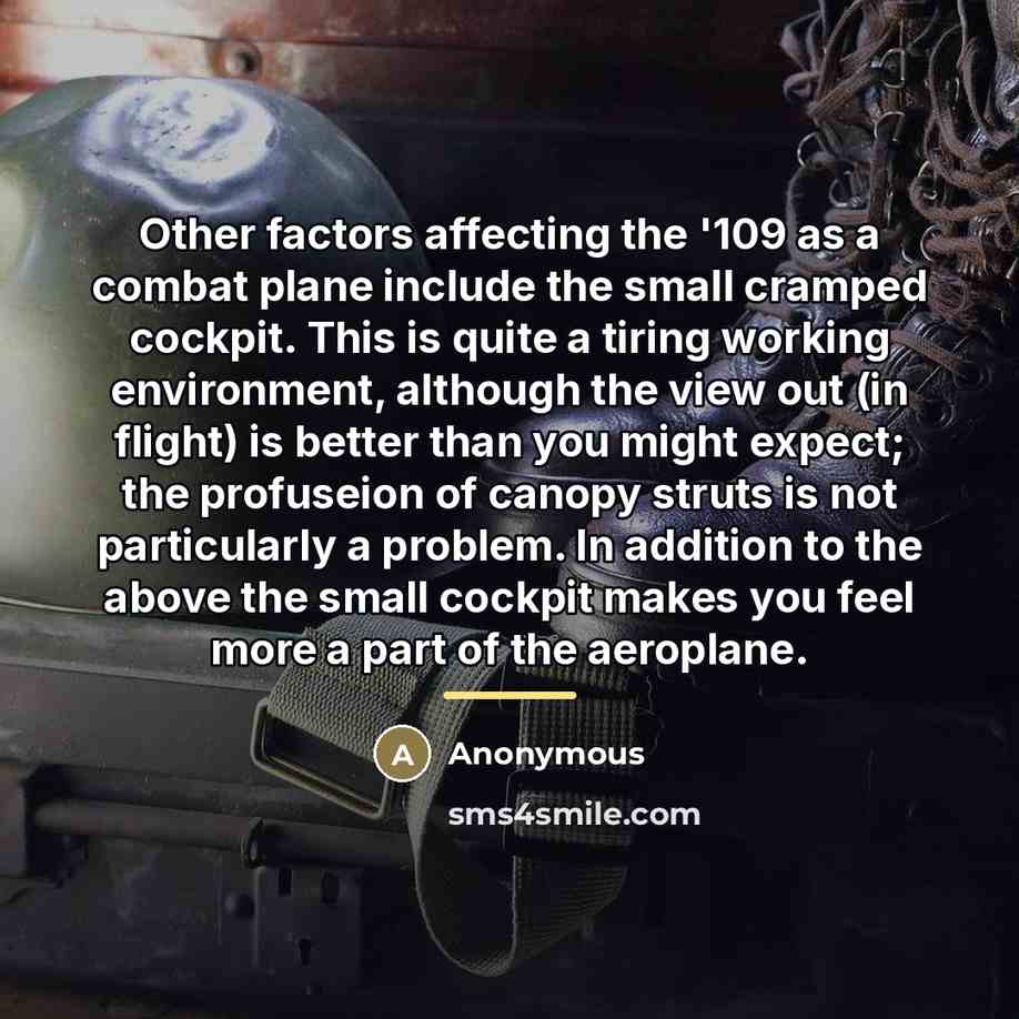 “Other factors affecting the '109 as a combat plane include…” quote by Anonymous