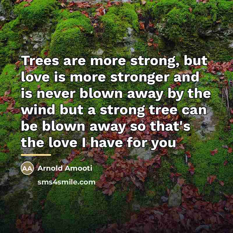 “Trees are more strong, but love is more stronger and…” quote by Arnold Amooti