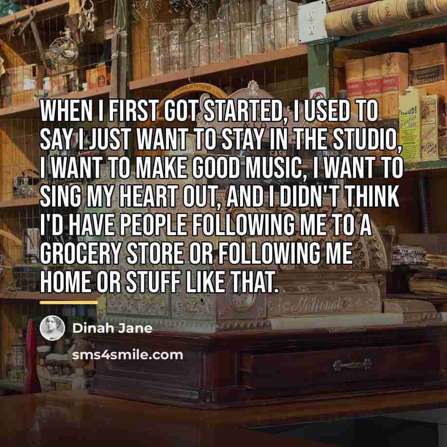 “When I first got started, I used to say I…” quote by Dinah Jane