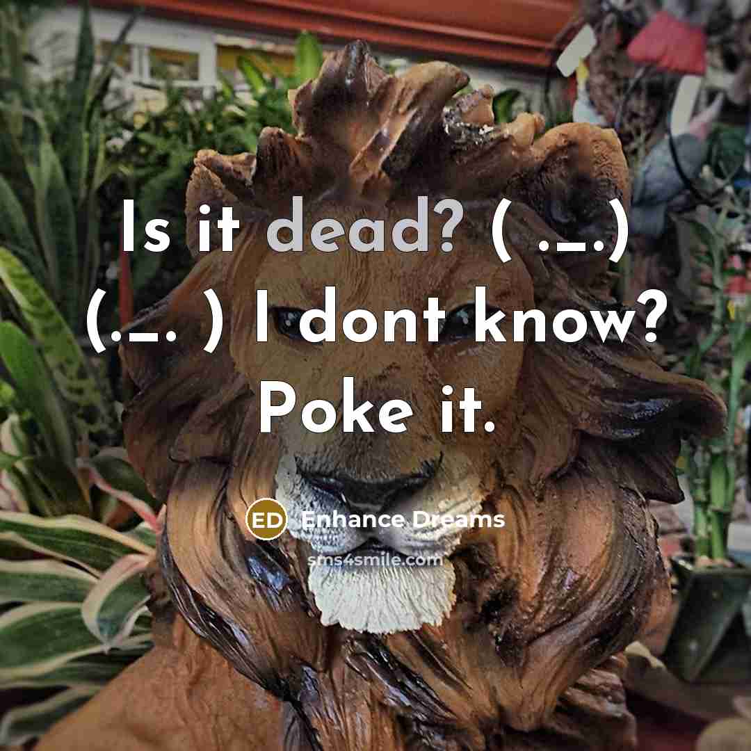 “Is it dead? ( ._.) (._. ) I dont know?…” quote by Enhance Dreams