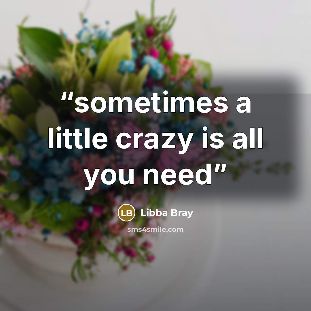 “sometimes a little crazy is all you need” quote by Libba Bray