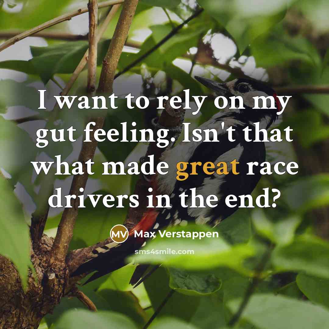 “I want to rely on my gut feeling. Isn't that…” quote by Max Verstappen