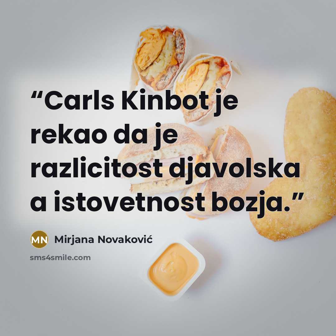 “Carls Kinbot je rekao da je razlicitost djavolska a istovetnost bozja.” quote by Mirjana Novaković