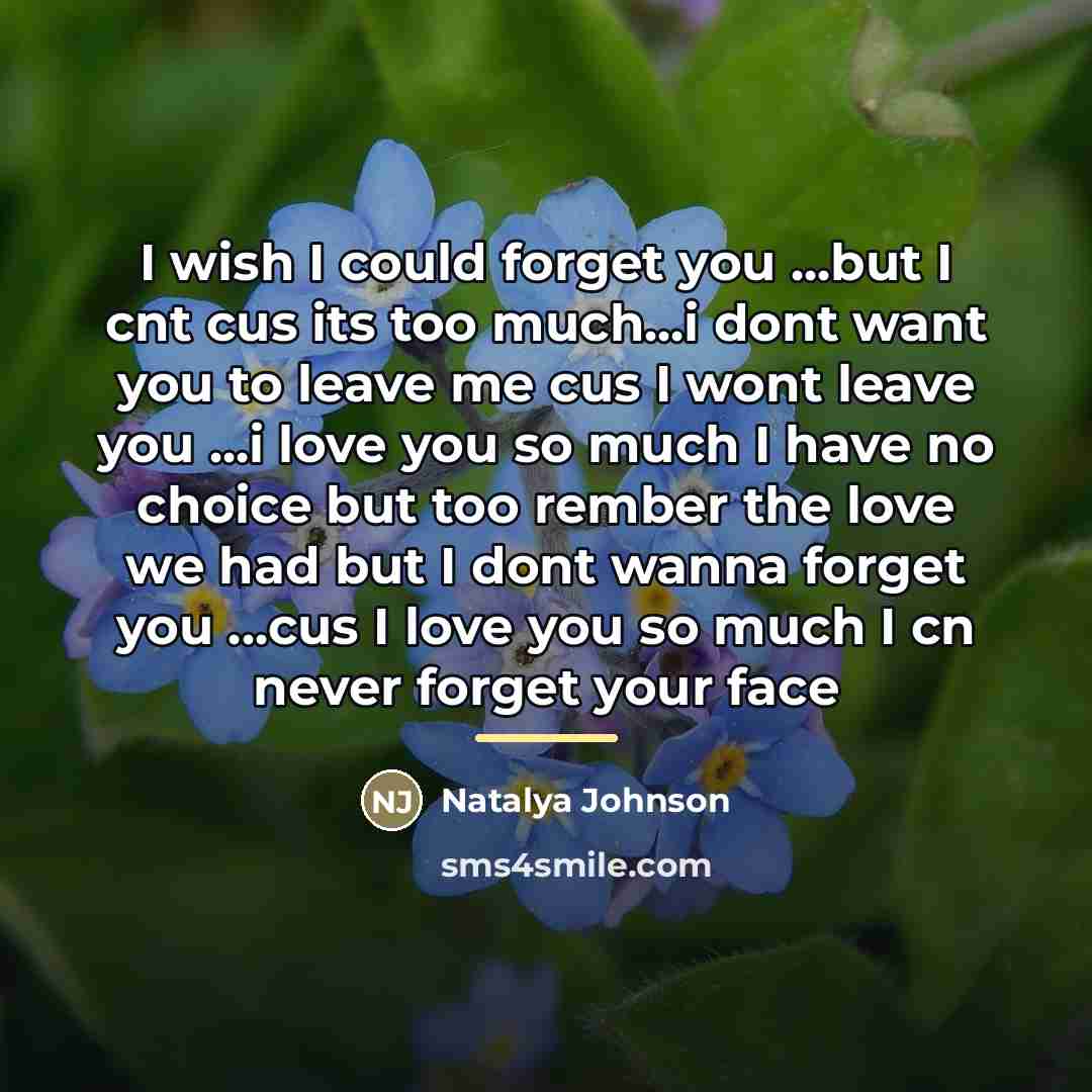 “I wish I could forget you ...but I cnt cus…” quote by Natalya Johnson