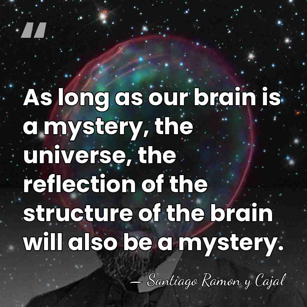 As long as our brain is a mystery, the universe, the reflection&hellip; - Santiago Ramon y Cajal