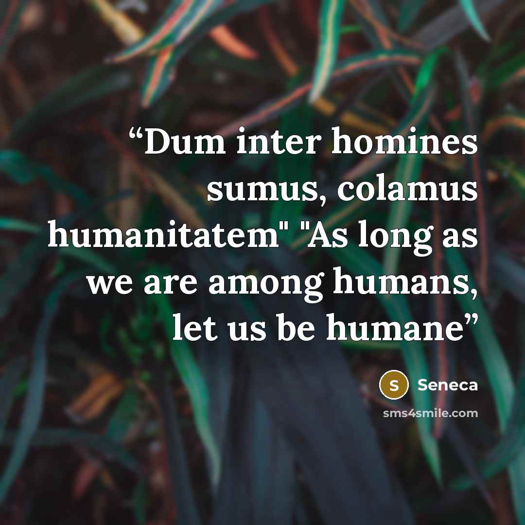 “Dum inter homines sumus, colamus humanitatem" "As long as we are among humans, let us be humane” quote by Seneca