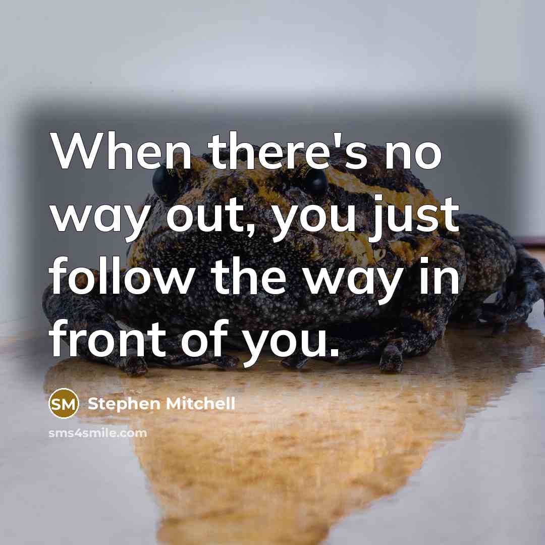 “When there's no way out, you just follow the way in front of you.” quote by Stephen Mitchell