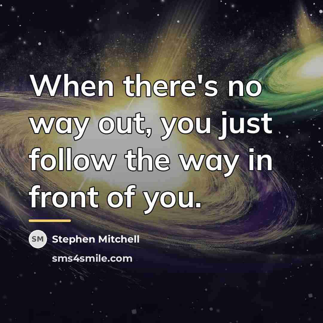 “When there's no way out, you just follow the way…” quote by Stephen Mitchell