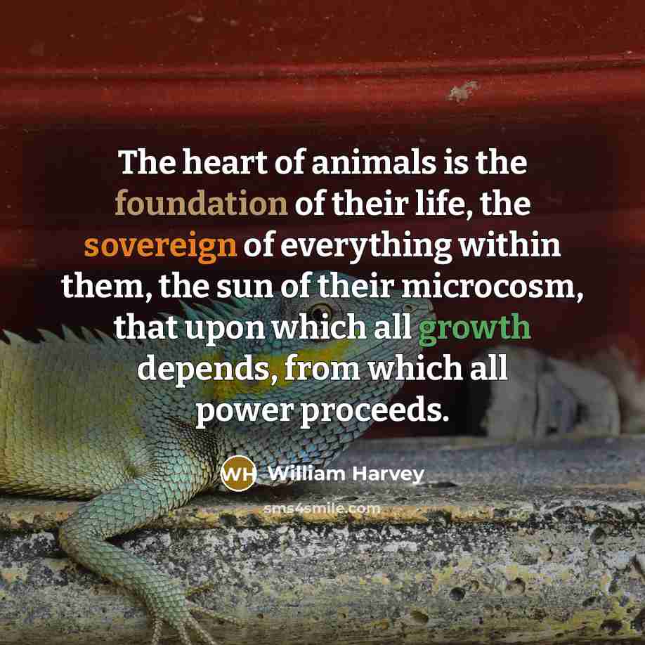 “The heart of animals is the foundation of their life,…” quote by William Harvey