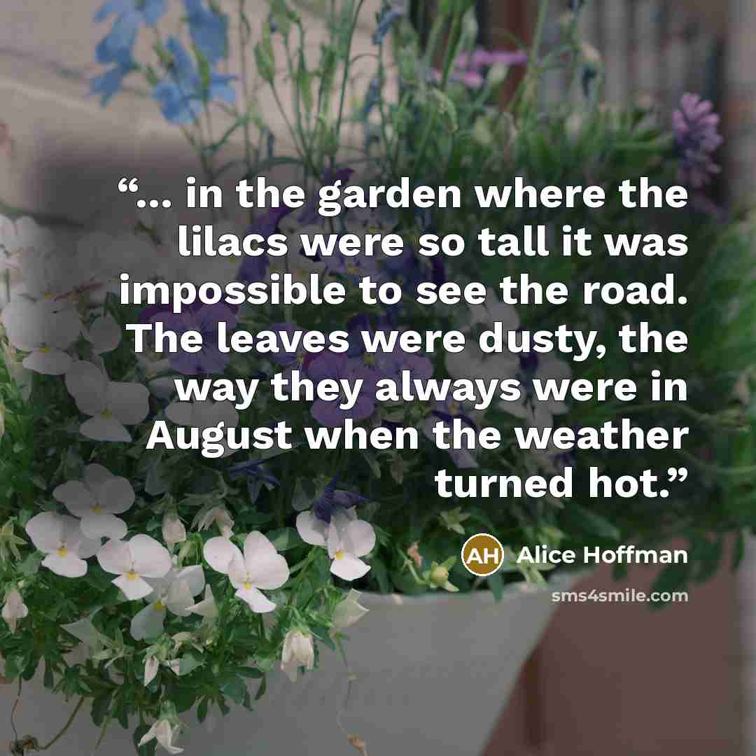 “... in the garden where the lilacs were so tall it was impossible to see the road. The leaves were dusty, the way they always were in August when the weather turned hot.” quote by Alice Hoffman