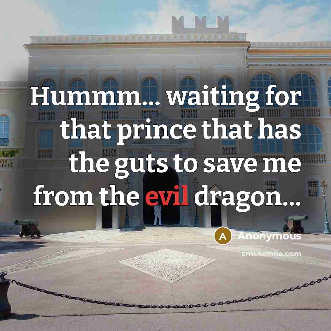 “Hummm… waiting for that prince that has the guts to save me from the evil dragon…” quote by Anonymous