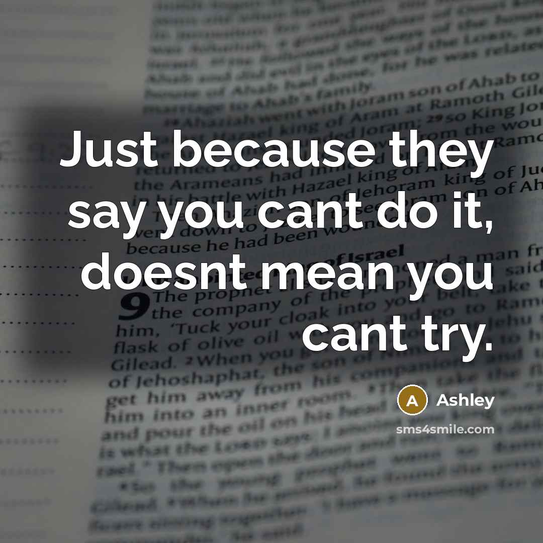 “Just because they say you cant do it, doesnt mean you cant try.” quote by Ashley