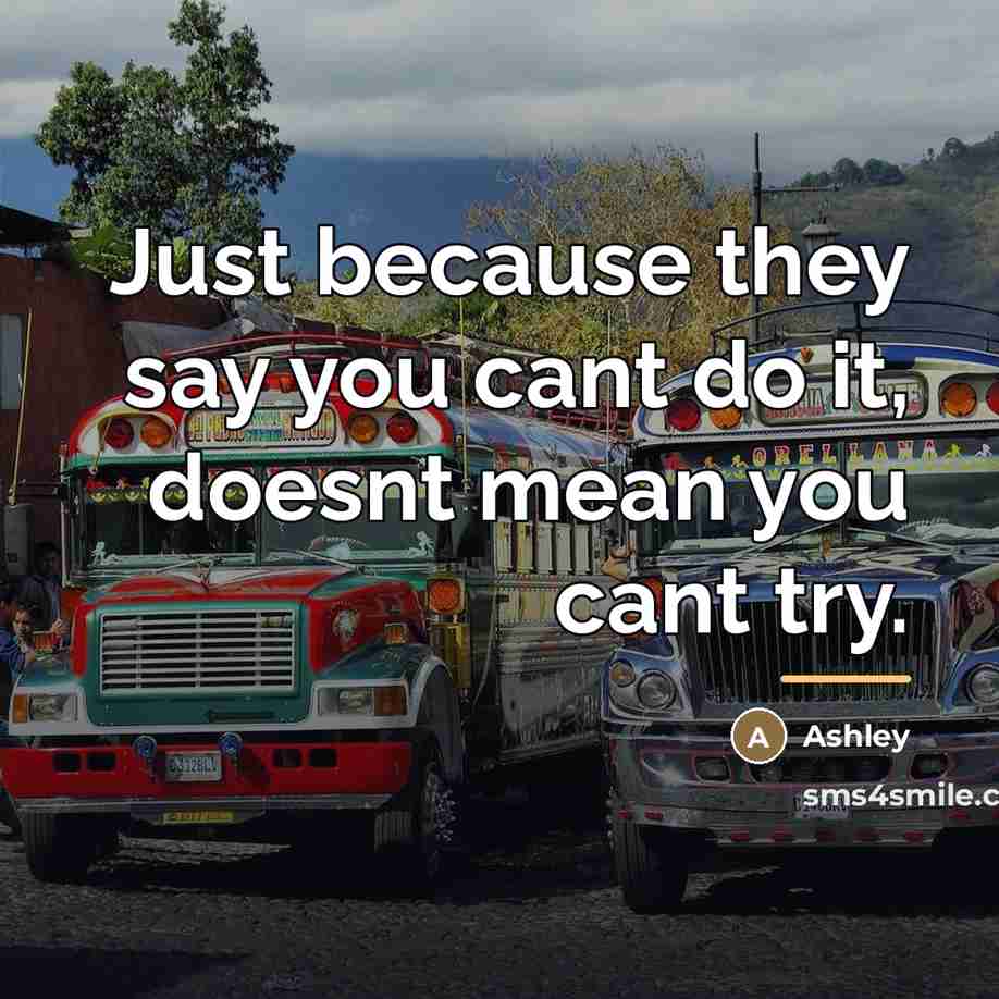 “Just because they say you cant do it, doesnt mean…” quote by Ashley
