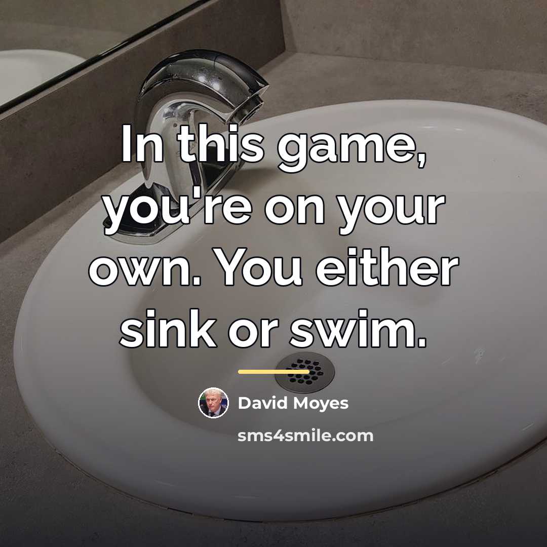 “In this game, you're on your own. You either sink…” quote by David Moyes