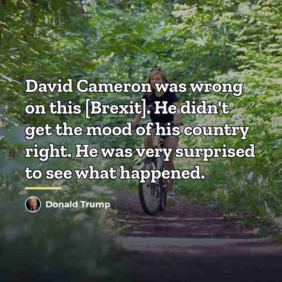 “David Cameron was wrong on this [Brexit]. He didn't get…” quote by Donald Trump