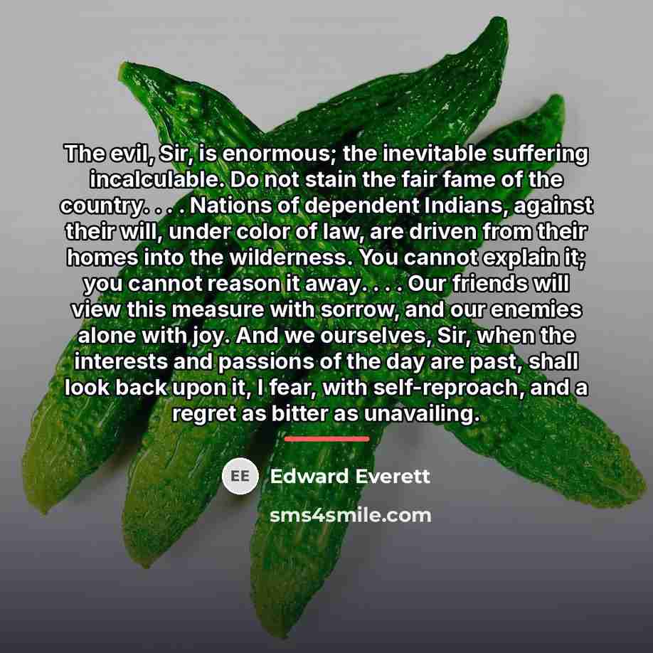 “The evil, Sir, is enormous; the inevitable suffering incalculable. Do…” quote by Edward Everett