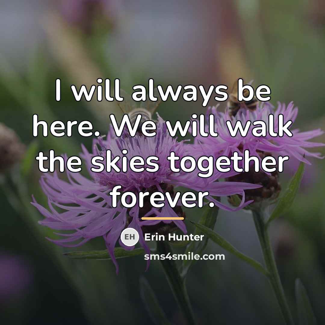 “I will always be here. We will walk the skies…” quote by Erin Hunter