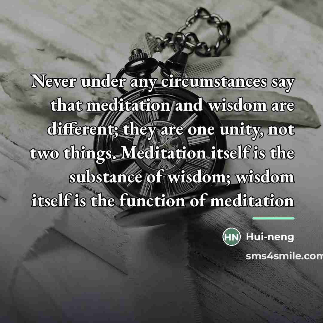 “Never under any circumstances say that meditation and wisdom are…” quote by Anonymous