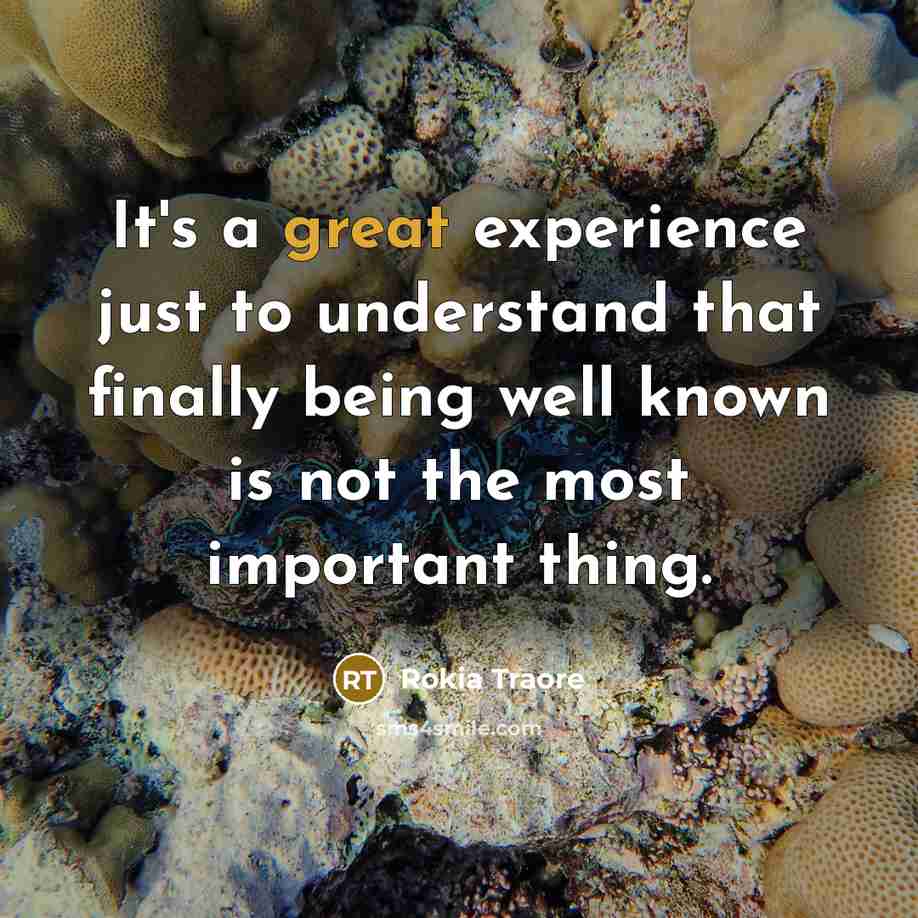 “It's a great experience just to understand that finally being well known is not the most important thing.” quote by Rokia Traore