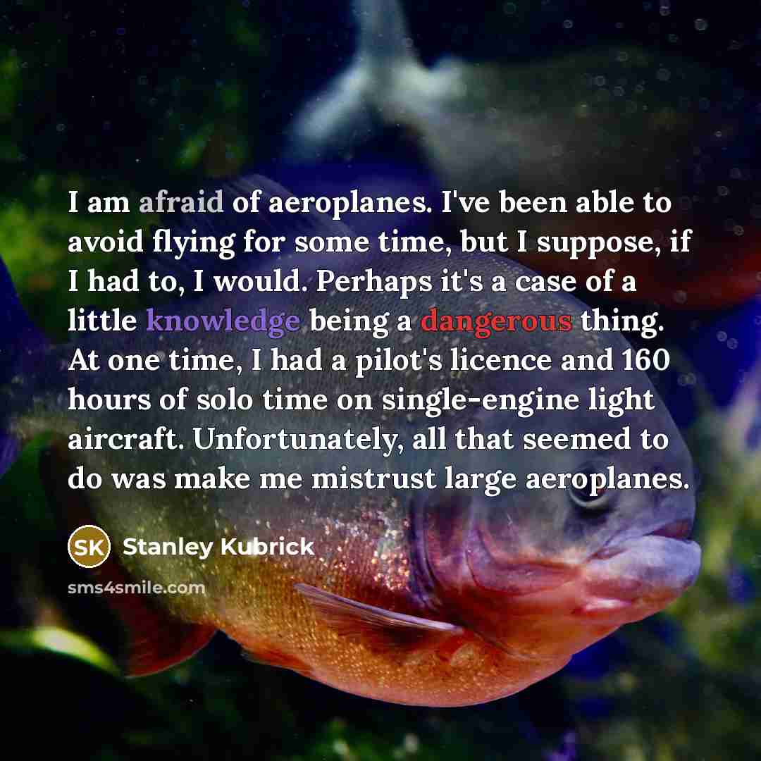 “I am afraid of aeroplanes. I've been able to avoid flying for some time, but I suppose, if I had to, I would. Perhaps it's a case of a little knowledge being a dangerous thing. At one time, I had a pilot's licence and 160 hours of solo time on single-engine light aircraft. Unfortunately, all that…” quote by Stanley Kubrick