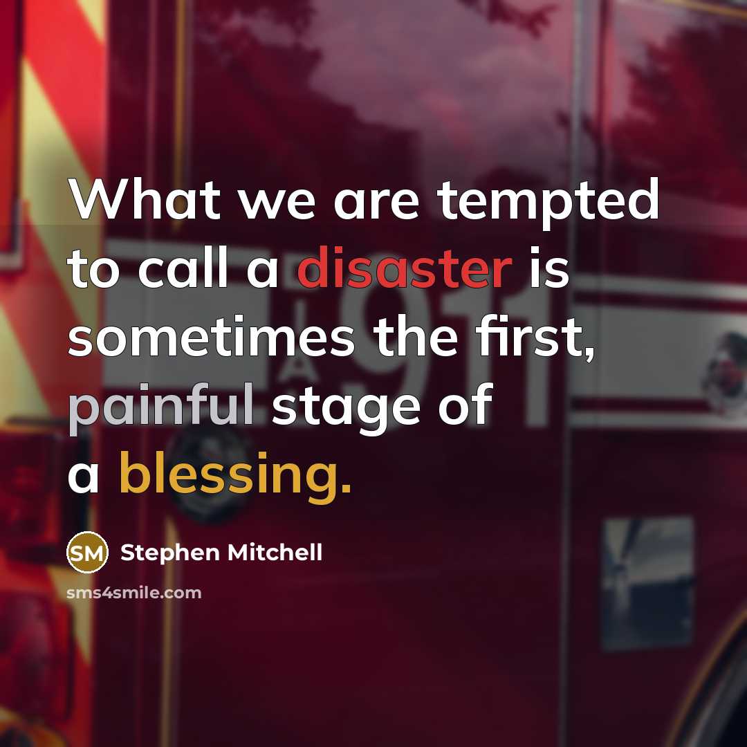 “What we are tempted to call a disaster is sometimes…” quote by Stephen Mitchell