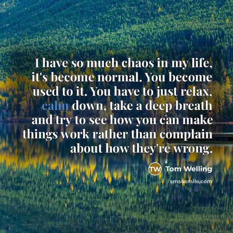 “I have so much chaos in my life, it's become…” quote by Tom Welling