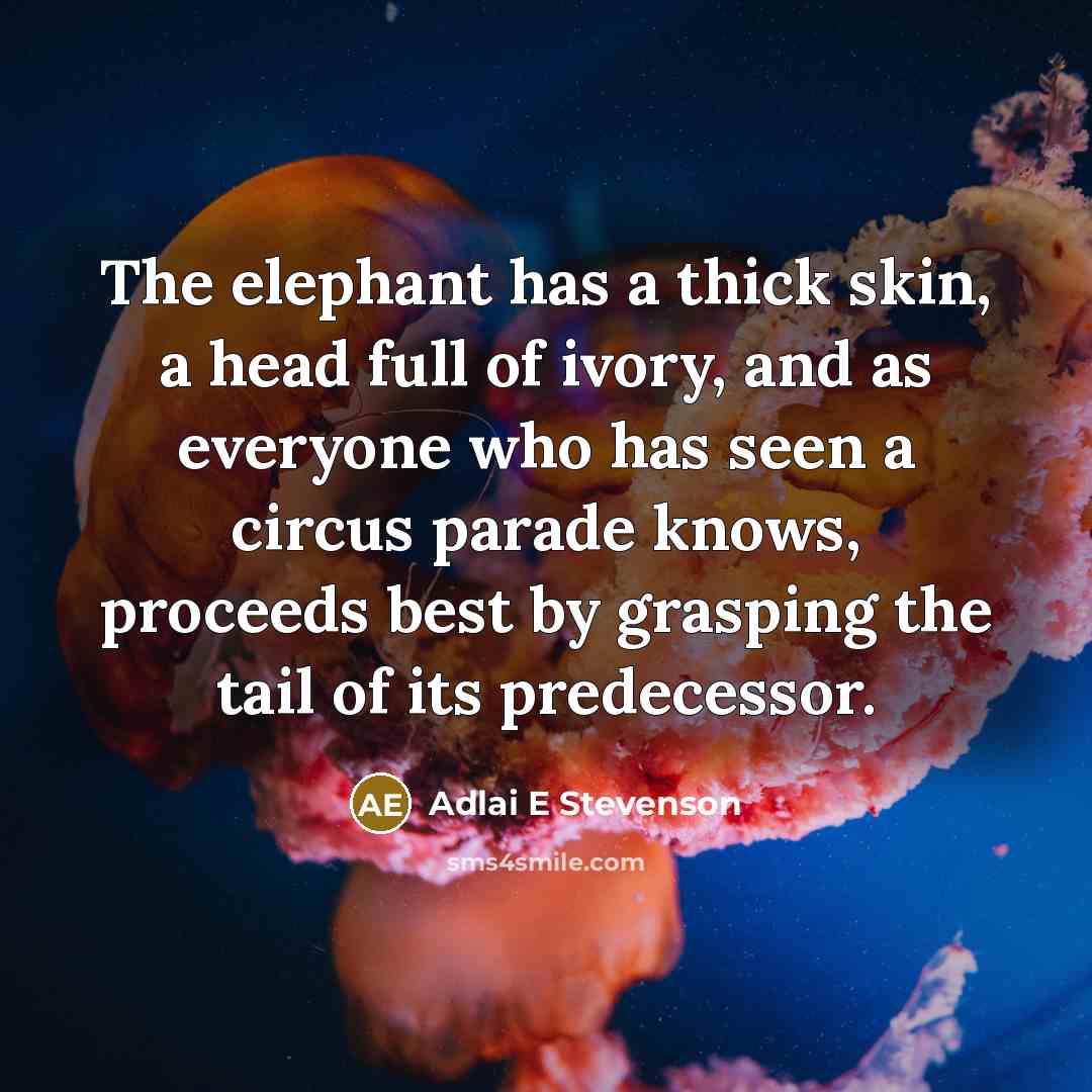 “The elephant has a thick skin, a head full of…” quote by Adlai E Stevenson