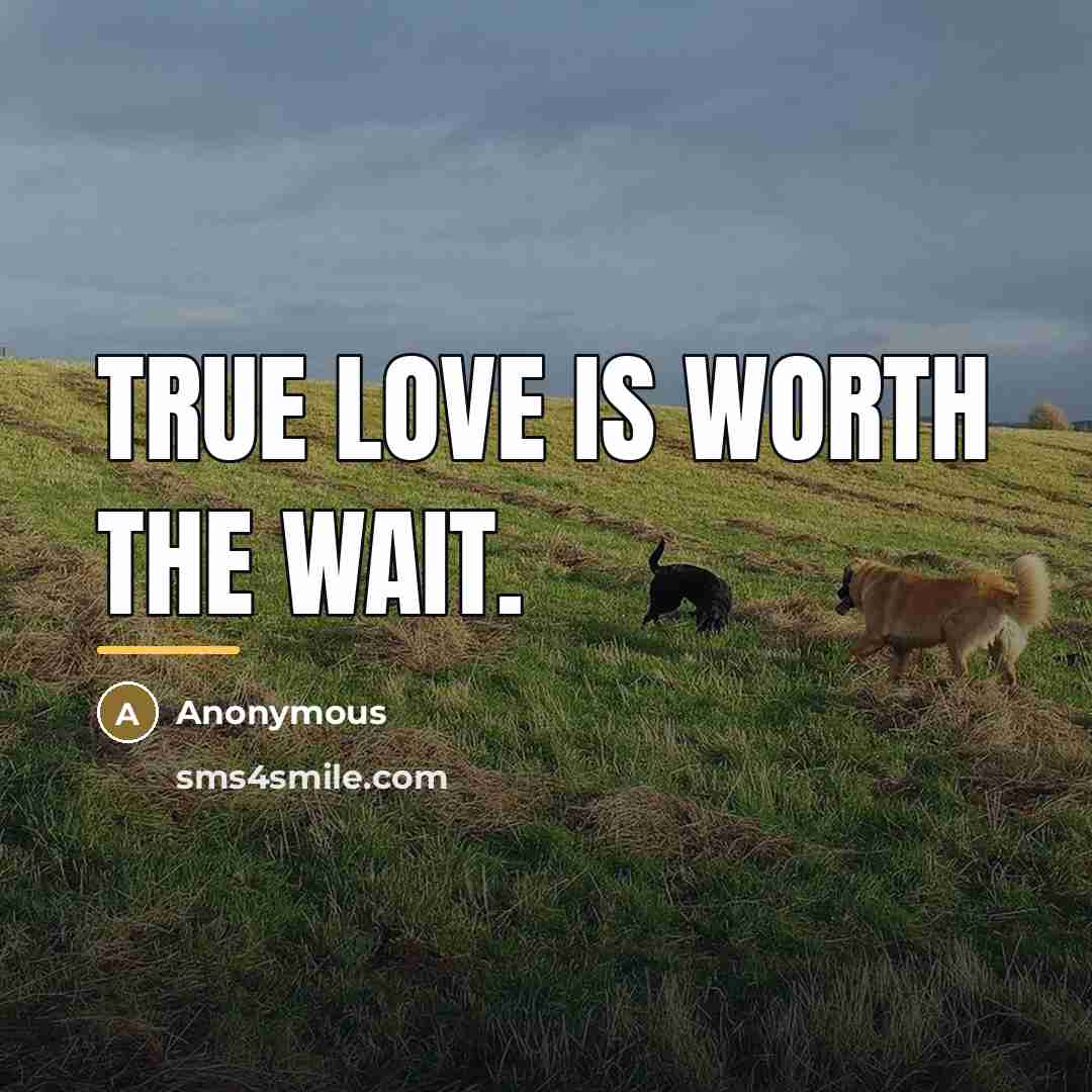 “True love is worth the wait.…” quote by Anonymous