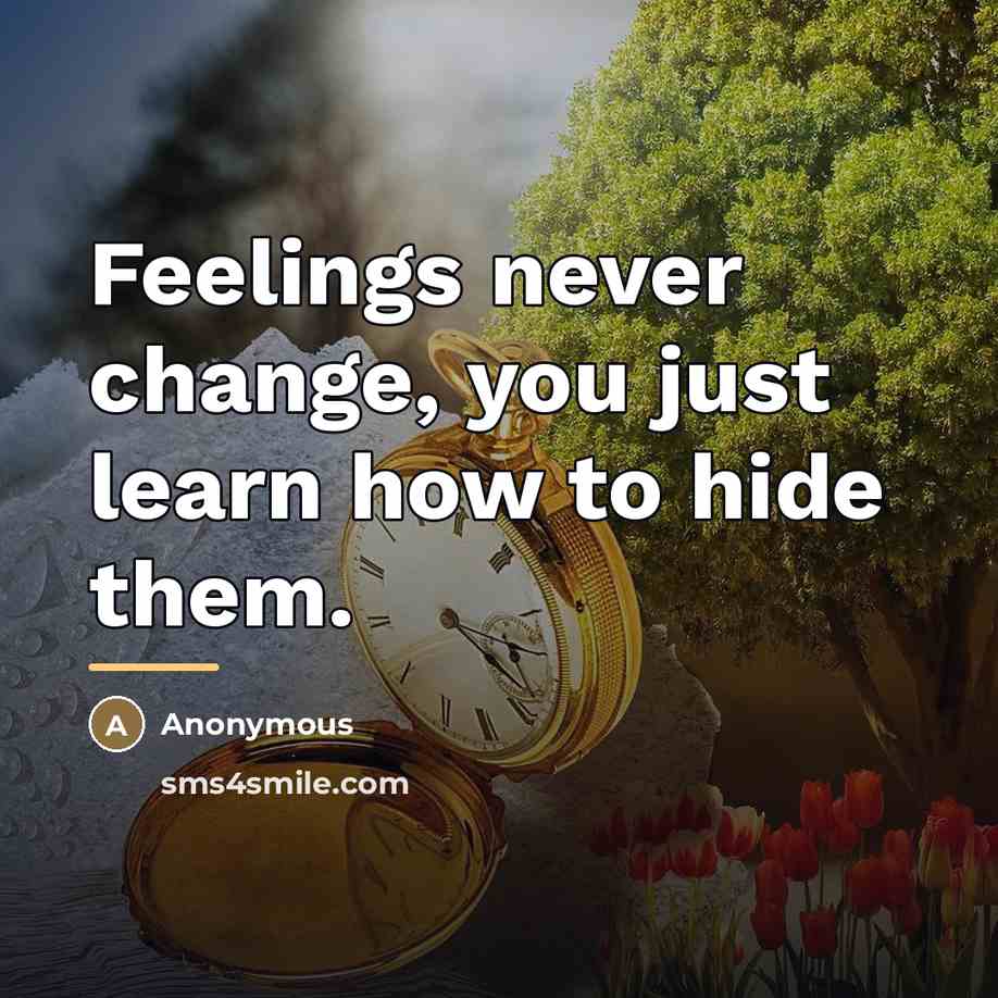 “Feelings never change, you just learn how to hide them.…” quote by Anonymous