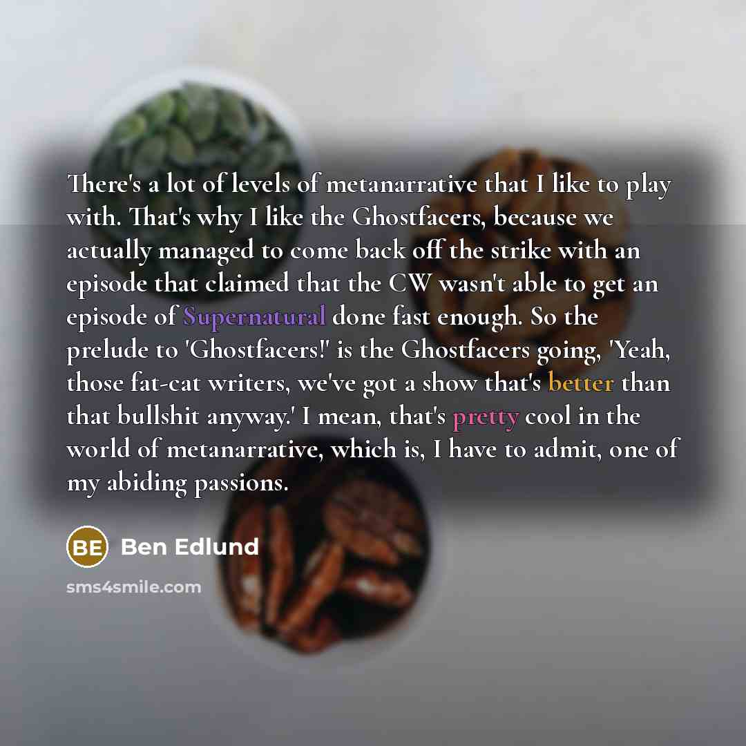 “There's a lot of levels of metanarrative that I like…” quote by Ben Edlund