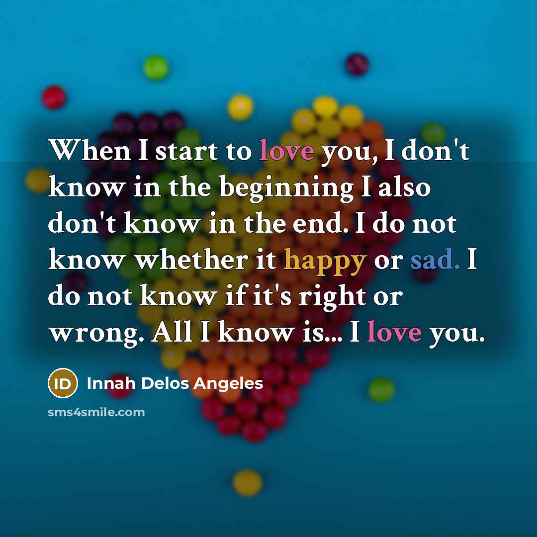 “When I start to love you, I don't know in the beginning I also don't know in the end. I do not know whether it happy or sad. I do not know if it's right or wrong. All I know is... I love you.” quote by Innah Delos Angeles
