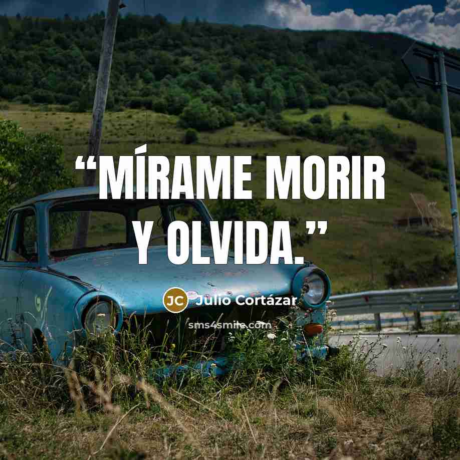 “Mírame morir y olvida.” quote by Julio Cortázar