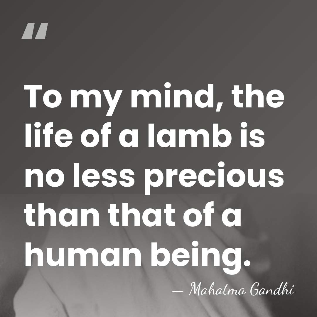 To my mind, the life of a lamb is no less precious&hellip; - Mahatma Gandhi