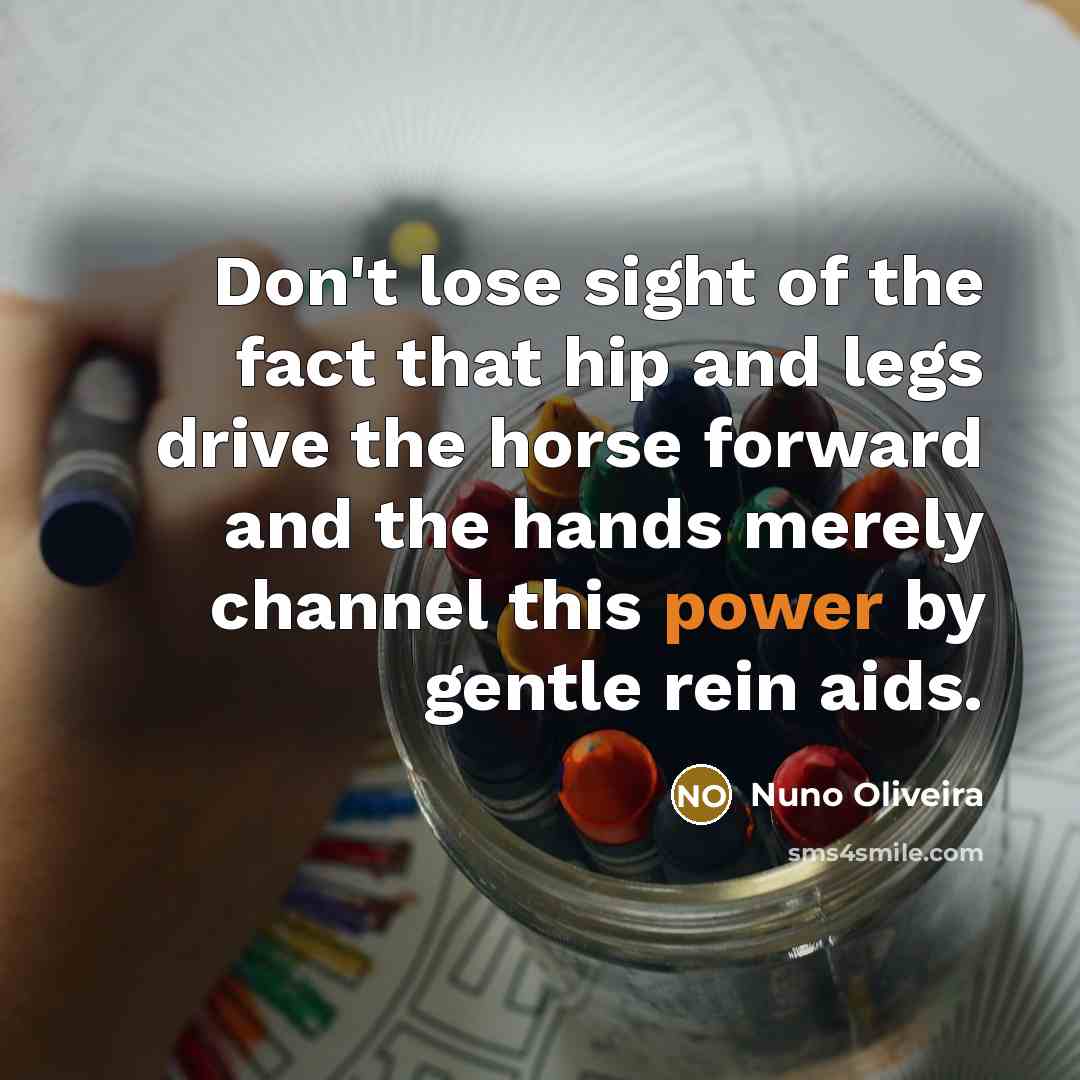 “Don't lose sight of the fact that hip and legs…” quote by Nuno Oliveira