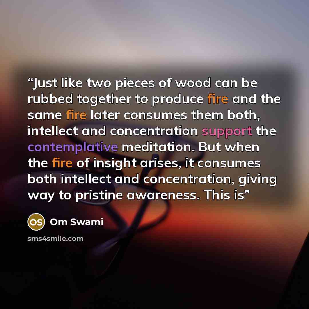 “Just like two pieces of wood can be rubbed together to produce fire and the same fire later consumes them both, intellect and concentration support the contemplative meditation. But when the fire of insight arises, it consumes both intellect and concentration, giving way to pristine awareness…” quote by Om Swami
