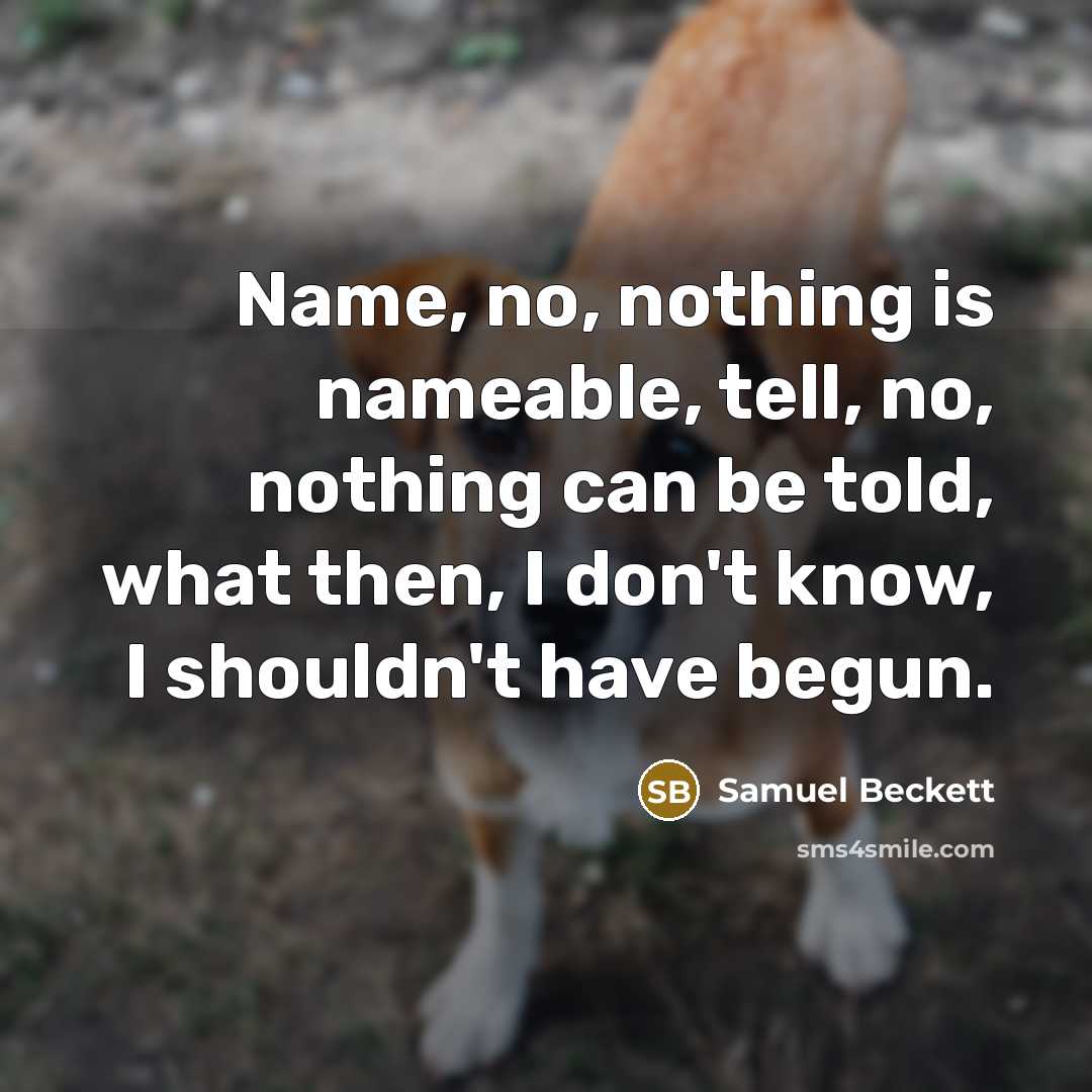 “Name, no, nothing is nameable, tell, no, nothing can be…” quote by Samuel Beckett