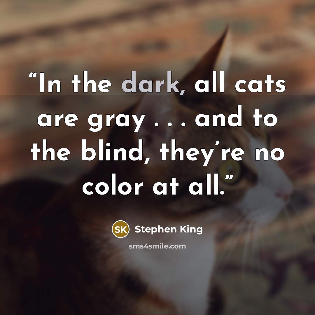 “In the dark, all cats are gray . . . and to the blind, they’re no color at all.” quote by Stephen King