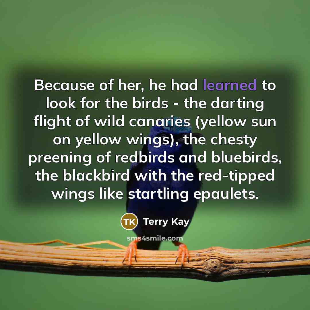 “Because of her, he had learned to look for the…” quote by Terry Kay