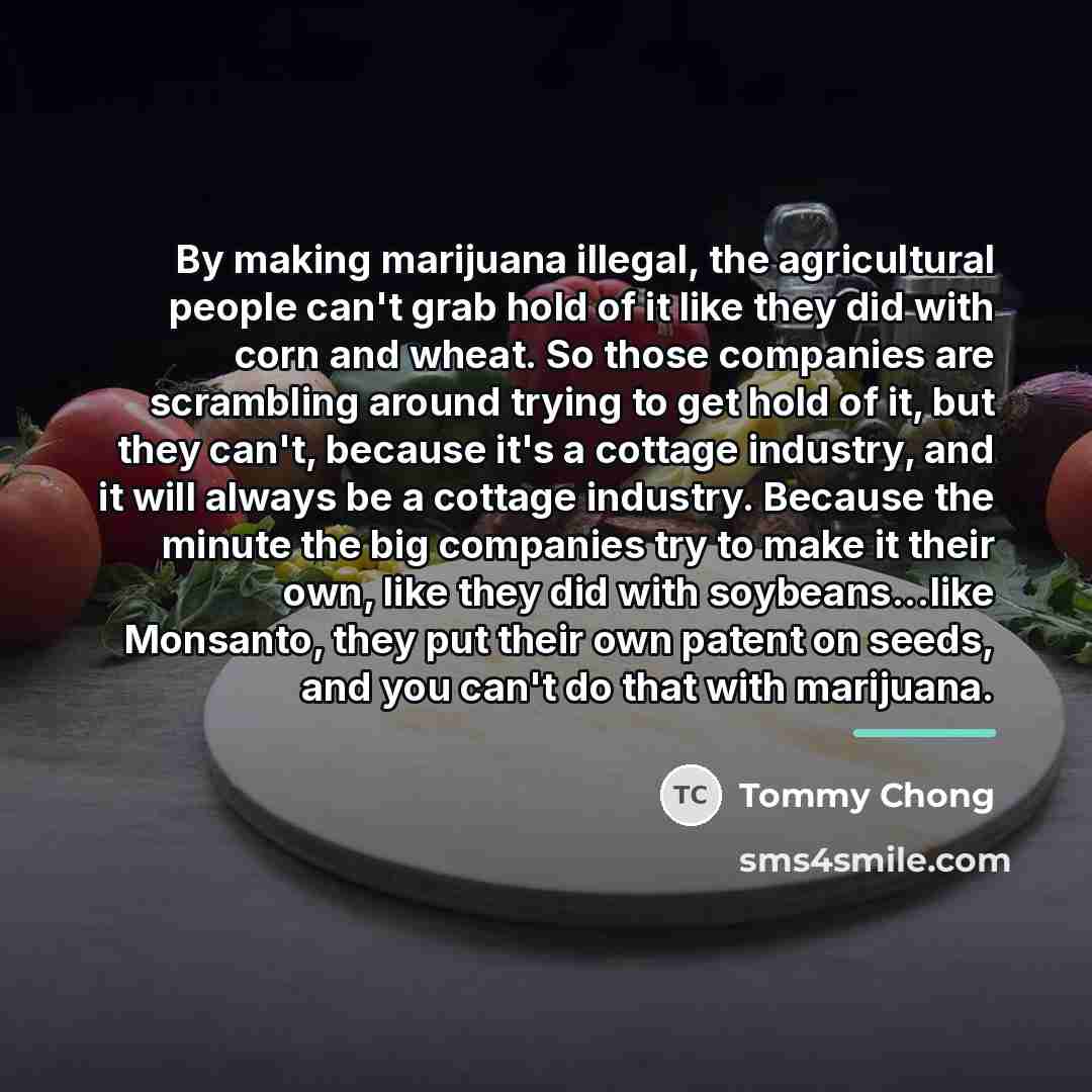 “By making marijuana illegal, the agricultural people can't grab hold…” quote by Tommy Chong