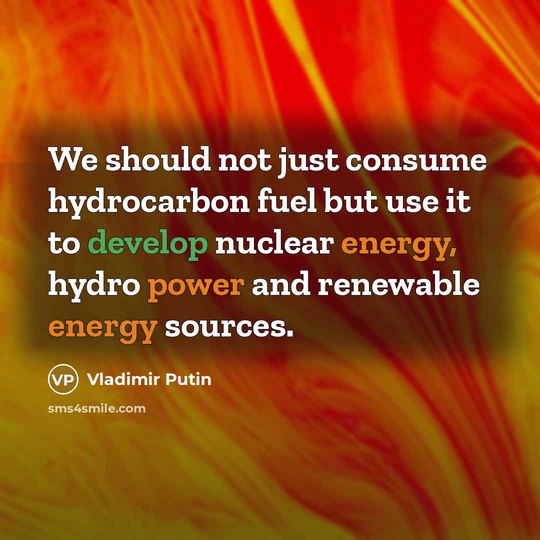 “We should not just consume hydrocarbon fuel but use it to develop nuclear energy, hydro power and renewable energy sources.” quote by Vladimir Putin