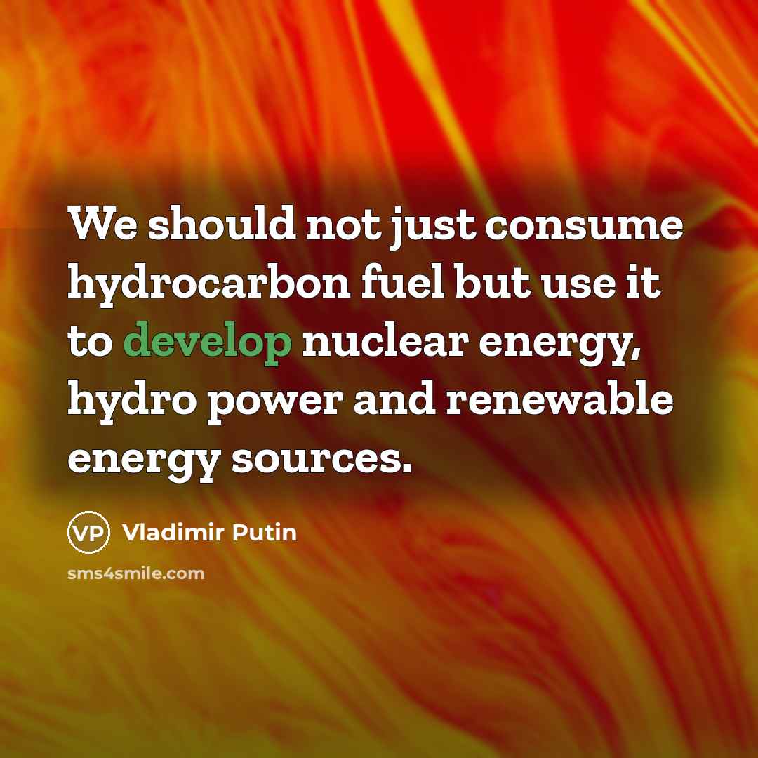 “We should not just consume hydrocarbon fuel but use it…” quote by Vladimir Putin
