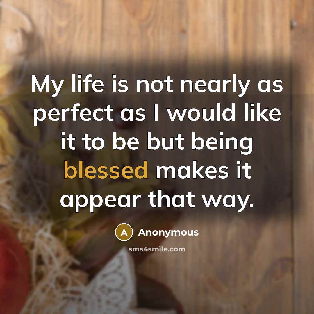 “My life is not nearly as perfect as I would…” quote by Anonymous