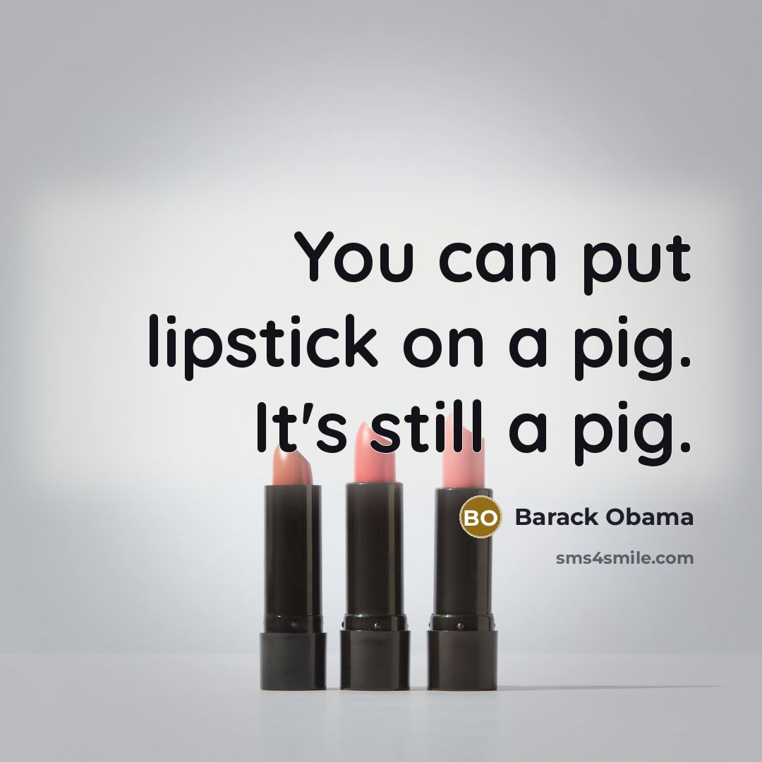 “You can put lipstick on a pig. It's still a…” quote by Barack Obama