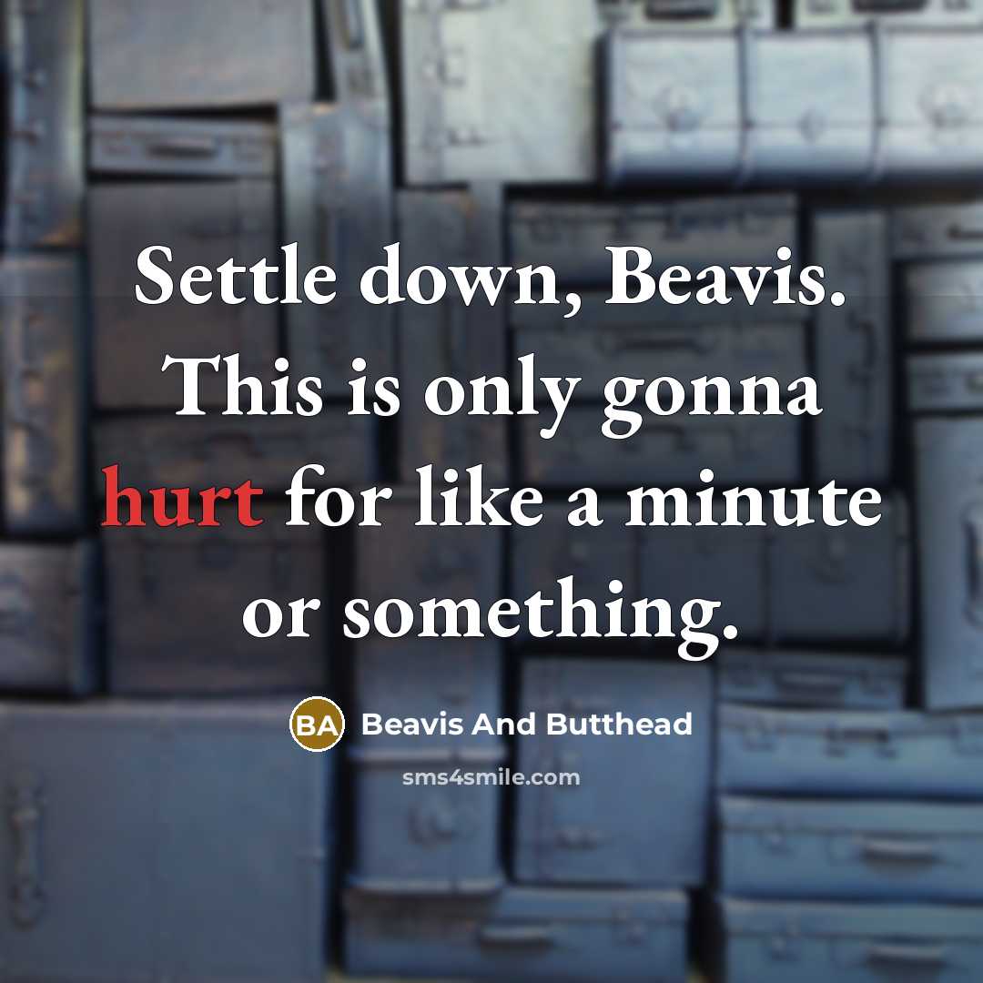“Settle down, Beavis. This is only gonna hurt for like…” quote by Beavis And Butthead