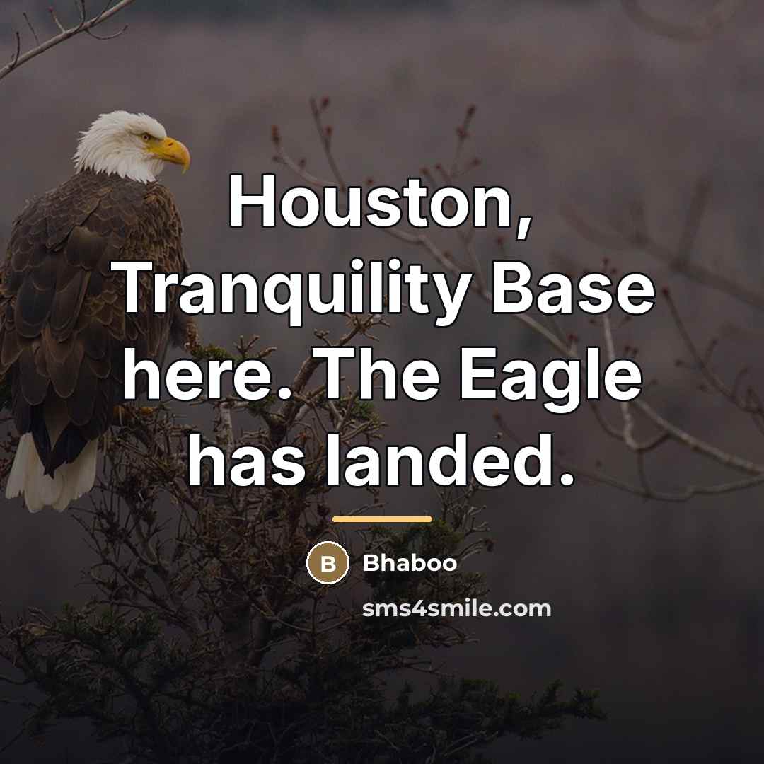 “Houston, Tranquility Base here. The Eagle has landed.…” quote by Bhaboo