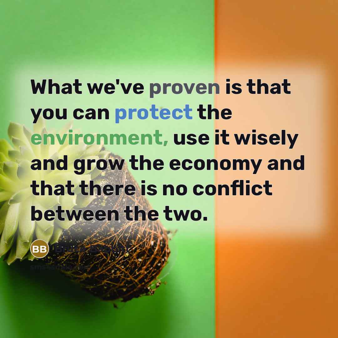 “What we've proven is that you can protect the environment, use it wisely and grow the economy and that there is no conflict between the two.” quote by Bruce Babbitt