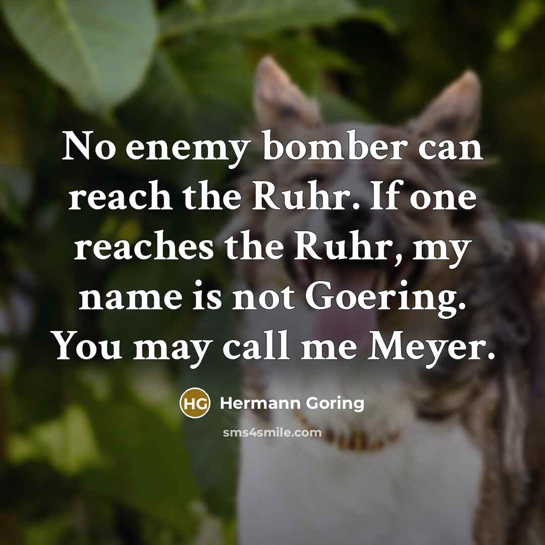 “No enemy bomber can reach the Ruhr. If one reaches…” quote by Hermann Goring