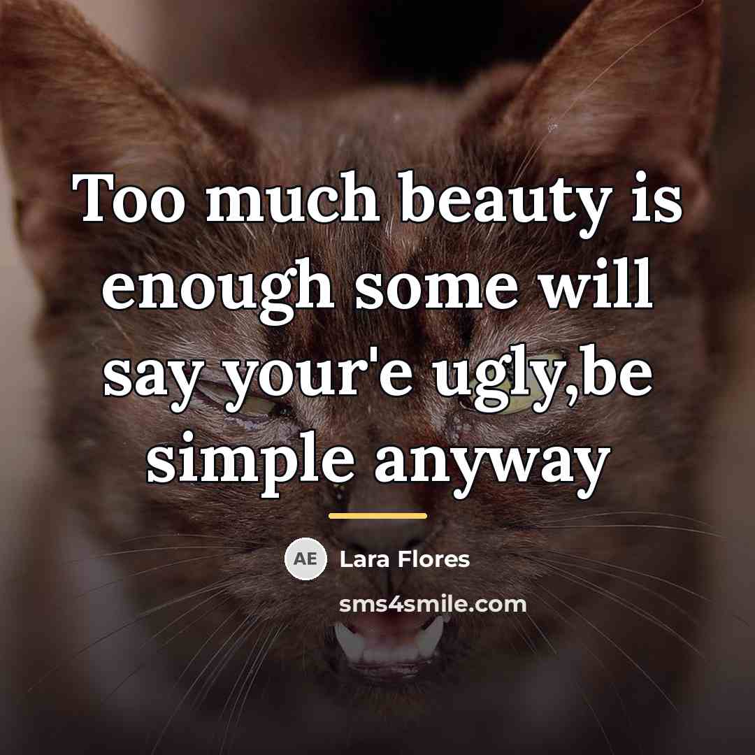“Too much beauty is enough some will say your'e ugly,be…” quote by Lara Flores